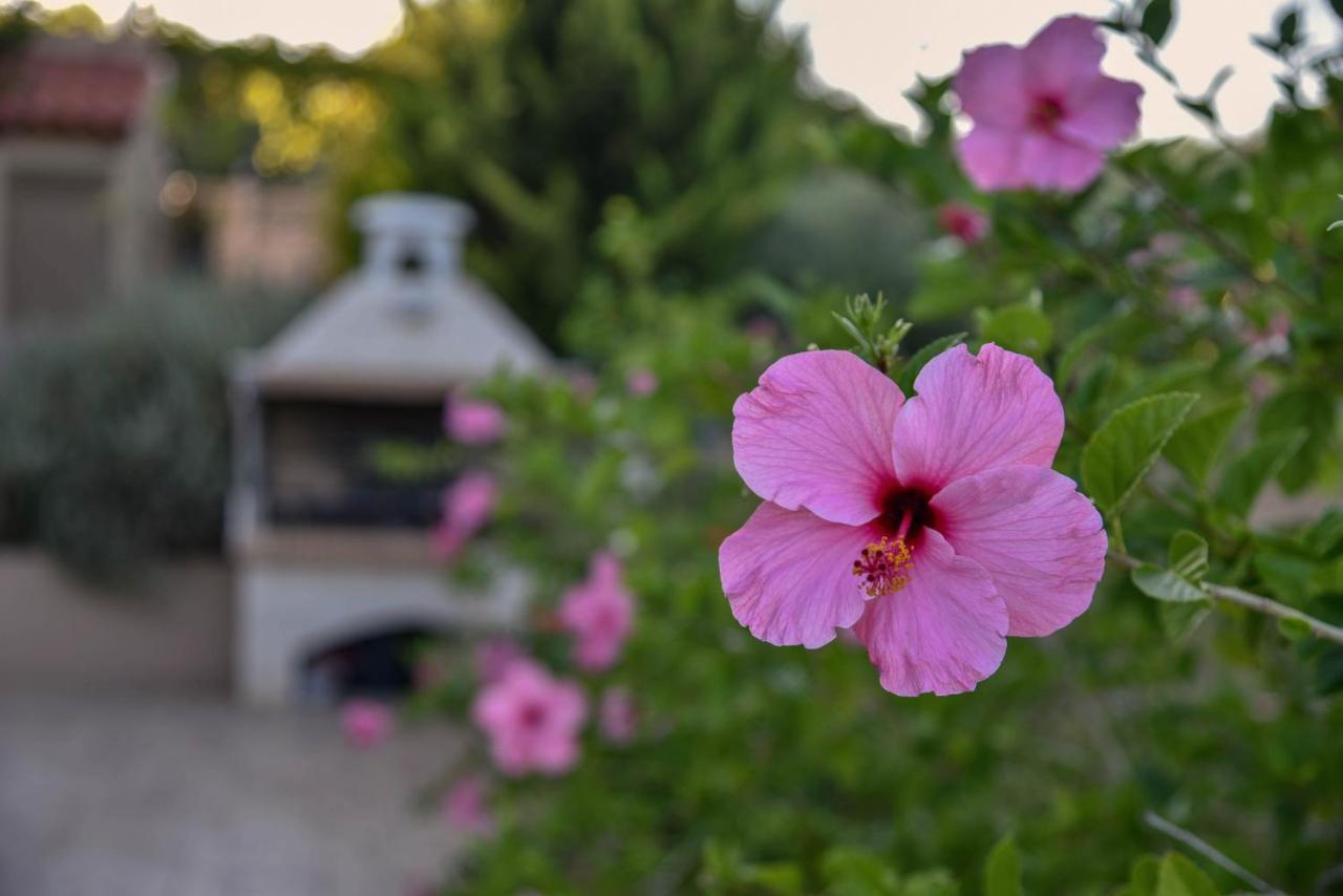Villabayviewcrete Hersonissos  Bagian luar foto